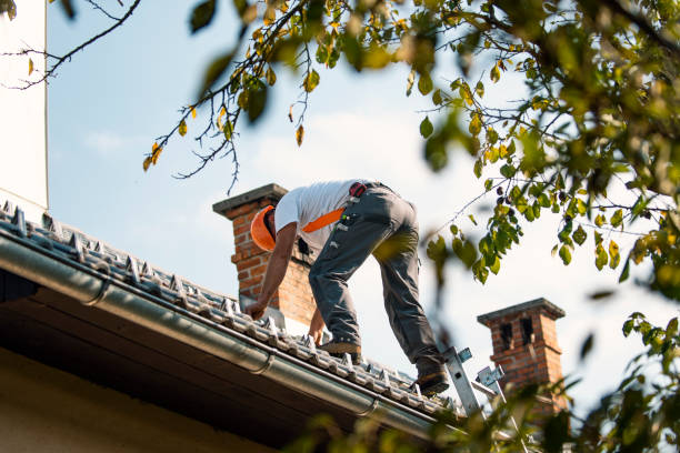 Best Roof Leak Repair  in Hydesville, CA